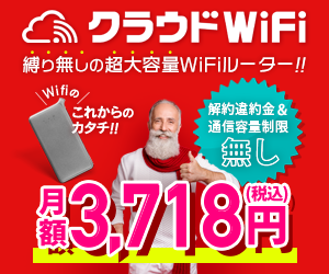 �N���E�hWi-Fi/U2s - ����Ȃ��N���E�hWi-Fi�b135�����Ή��E���z3,380�~�Ń����^��